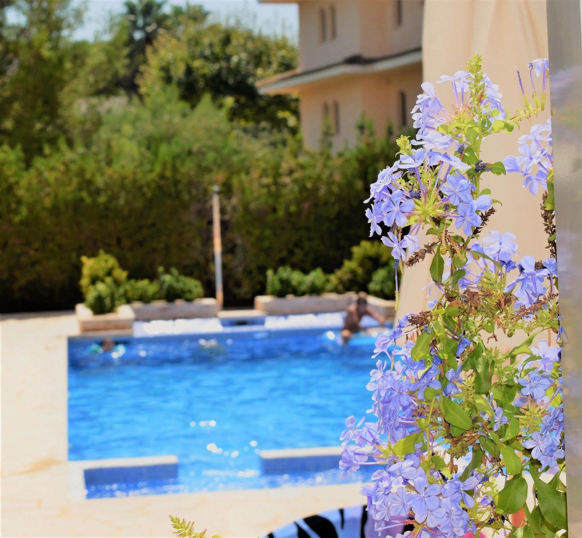 Sureda Canyamel (Mallorca)